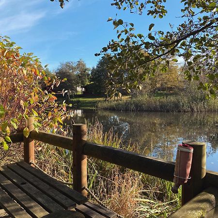 Angie'S Haven, Superb 2 Bedroom Lodge With Hot Tub - Sleeps 6 - Felmoor Park Morpeth Extérieur photo